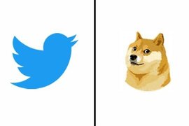 "Twitter" loqosunu Dogecoin olaraq dəyişib