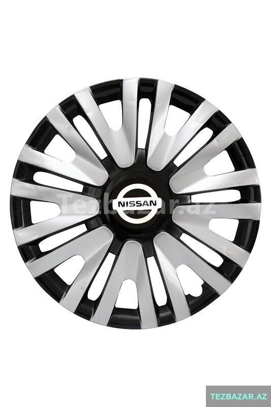 Nissan disk qapagi