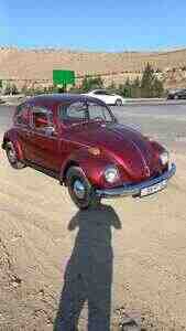 Volkswagen Beetle, 1969 icarəsi