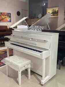 Pearl River və Ritmuller pianoları