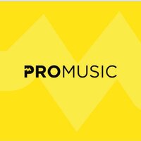 ProMusic Musiqi Alətləri Mağazası