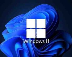 Windows 11 professional