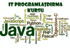 İt , Java , c++, c#, Phython, Proqramlaşdırma