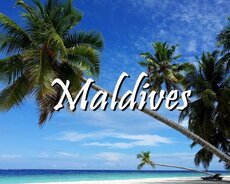 Maldiv turu bal ayi fürsəti münasib paket