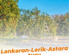 Lənkəran - Lerik - Astara turu 26-27 noyabr