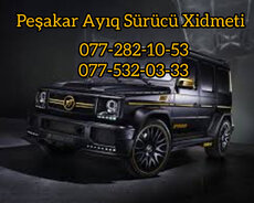 peşəkar Ayiq Sürcü xidməti