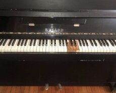 Kuban Pianino