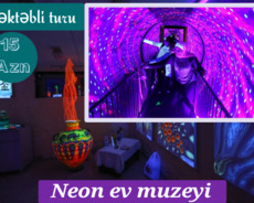 Möhtəşəm neon ev muzeyi