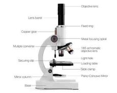 Tibbi mikroskop