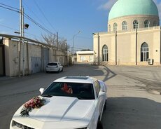 Camaro toy maşın sifarişi