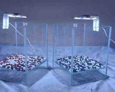 Akvarium daşları və işiğı