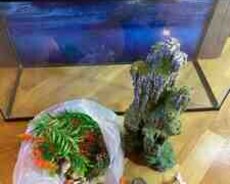 Akvarium və aksesuarları
