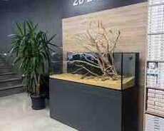 Akvarium və balıqlar