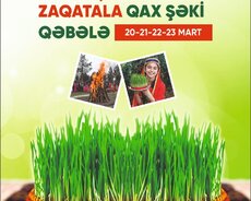 Balakən -Zaqatala – Qax - Şəki - Qəbələ Turu