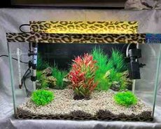 Akvarium