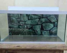 Akvarium