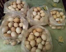 Ekoloji təmiz kənd yumurtası