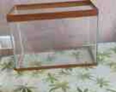 Akvarium və aksesuarları