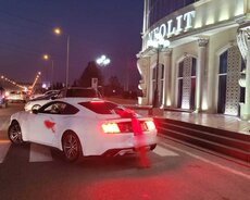 mustang bey gelin toy maşıni sifarişi