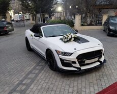 Mustang toy maşın kirayəsi
