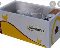 İnkubator