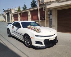Bey gelin maşıni camaro