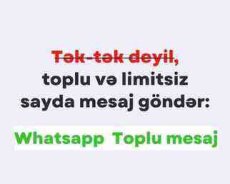 Whatsapp proqramı