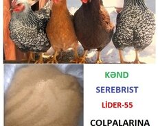 Toyuq böyütmə yemi