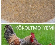 Toyuq kökəltmə yemi