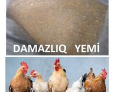 Toyuq damazlıq yem