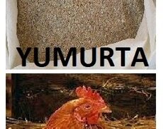 Toyuq yumurta yemi