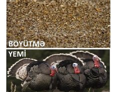 Hinduşka böyütmə yemi