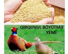 Qırqovul böyütmə yemi