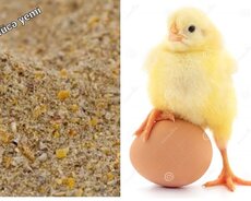 Quşlar üçün proteinli yem