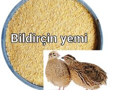 Bildirçin böyütmə yemi