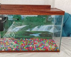 Akvarium satılır