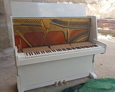 Musiqi alətlərinin təmiri və koklenmesi