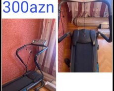 Tirnajor beqavoy daruşka