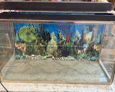 Akvarium və aksesuarlari