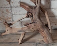 Akvarium dekoru (koryaga)