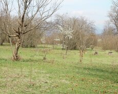 ayliq rubluk illik hesabatlar