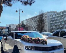 Gəlin maşını "camaro"