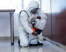 Dezinfeksiya xidməti