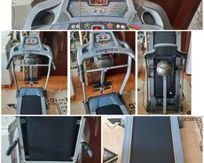 Tirnajor beqavoy daruşka