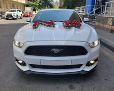 Mustang bey gelin maşınlarınin sifarişi