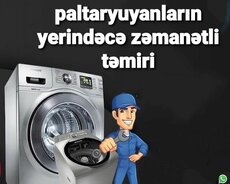 Paltaryuyan ustası