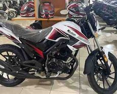 Yamaha Arion, 2023 il