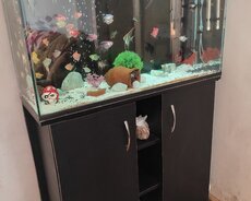 Akvarium Hamisi birlikde 400
