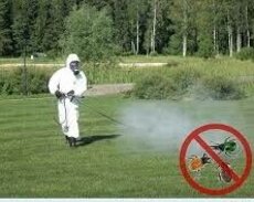 Dezinfeksiya xidməti