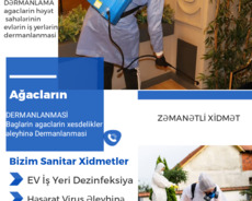 Bit Birə Tarakan Dezinfeksiya